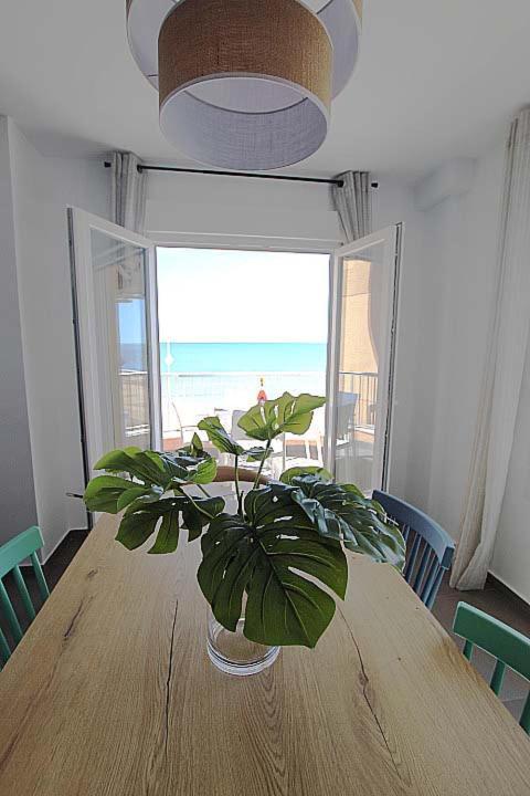 Apartamento Primera Linea Playa Centro De Guardamar Daire Guardamar del Segura Dış mekan fotoğraf